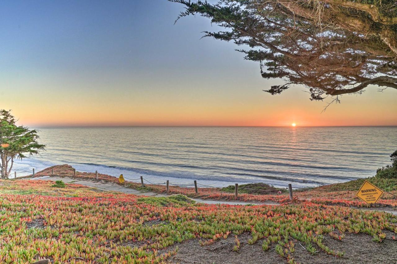 Cliffside Pacifica Hideaway Unbeatable View! Apartment Екстериор снимка