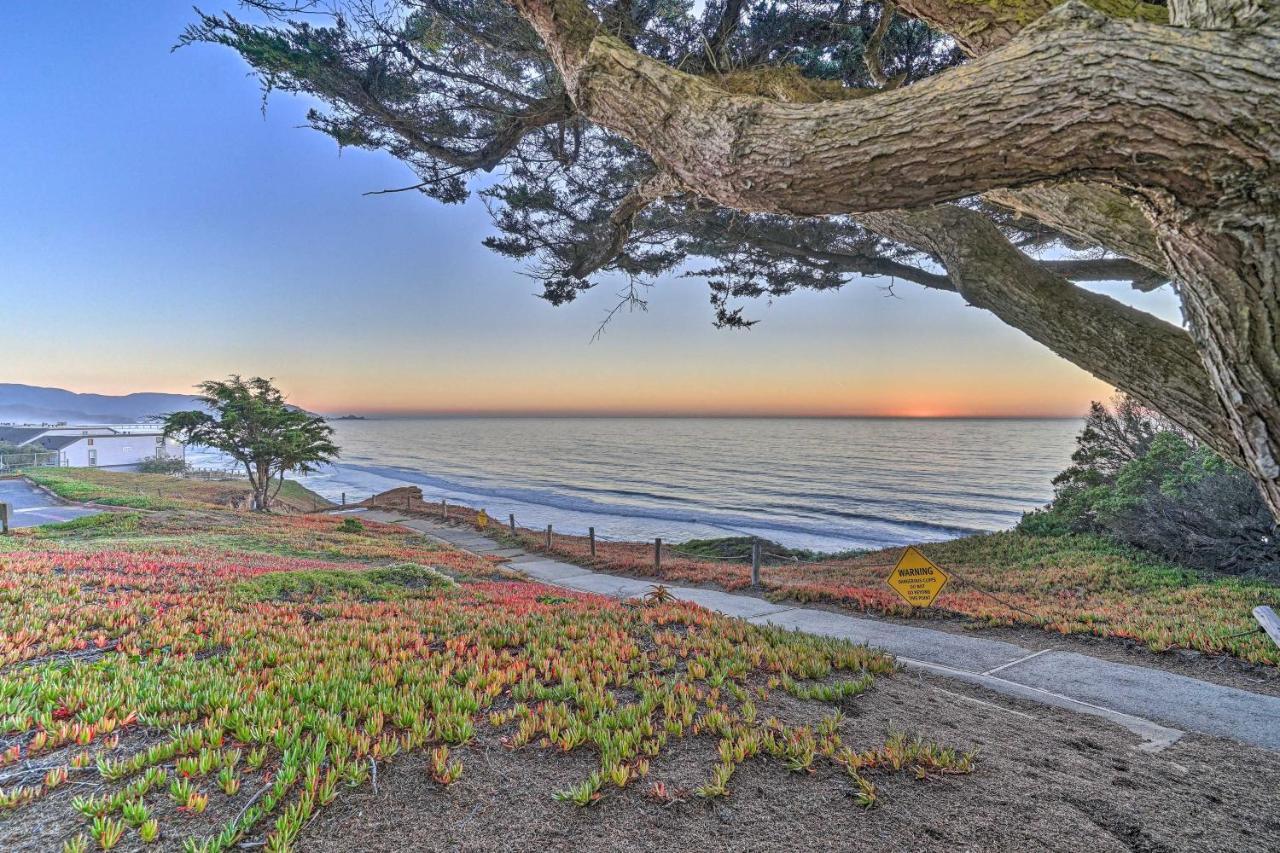 Cliffside Pacifica Hideaway Unbeatable View! Apartment Екстериор снимка