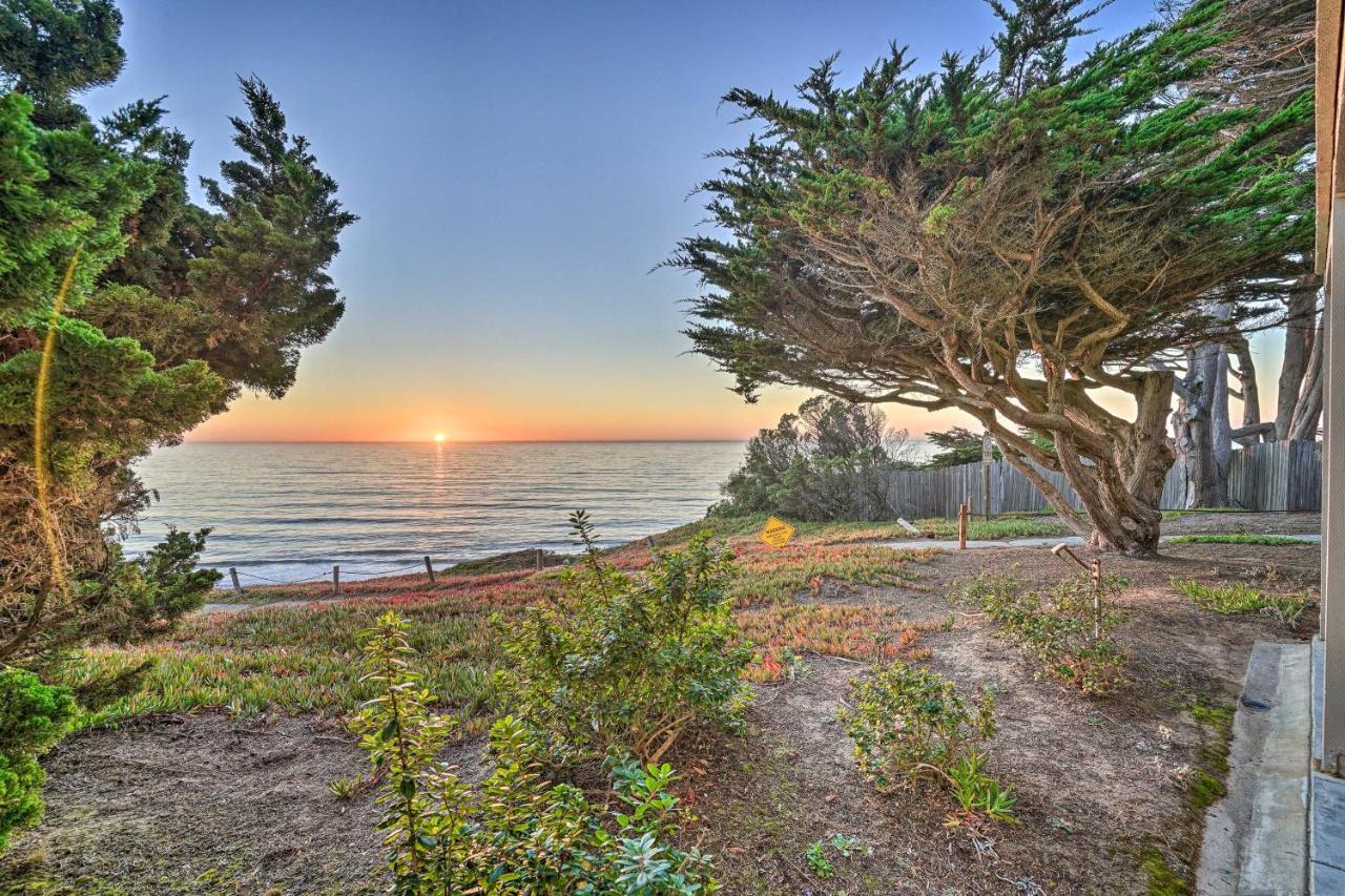 Cliffside Pacifica Hideaway Unbeatable View! Apartment Екстериор снимка